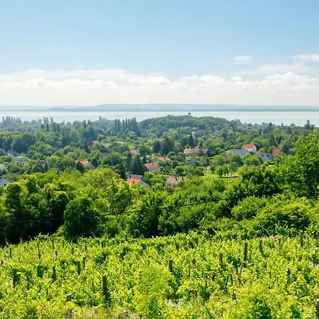 Holiday Home Fokas By Interhome Ábrahámhegy