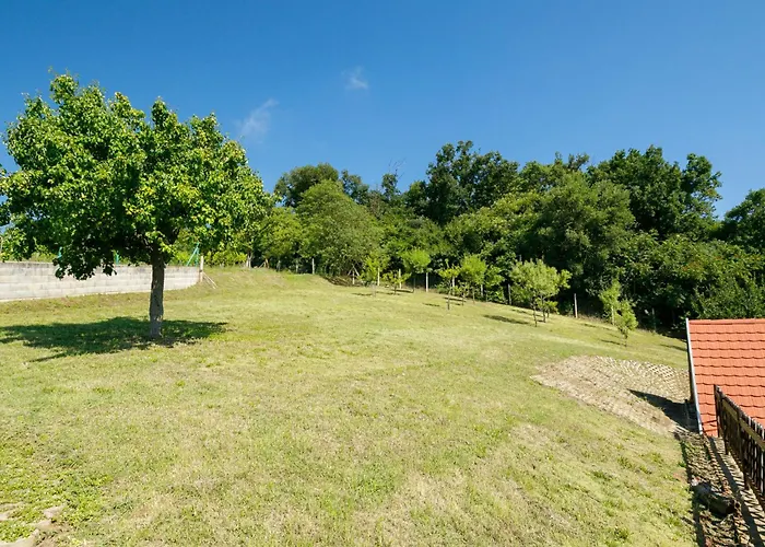 Casa de Férias Fokas By Interhome Ábrahámhegy