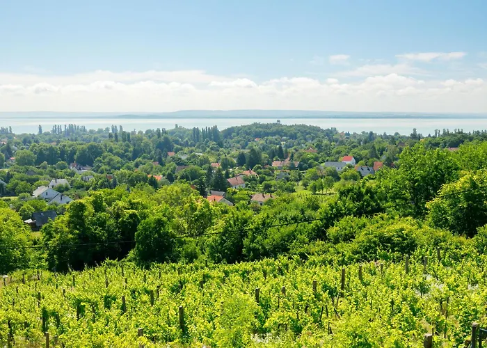 Fokas By Interhome Ábrahámhegy